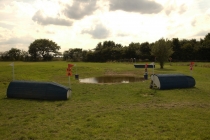 Fence 11a & b