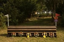 Fence 15