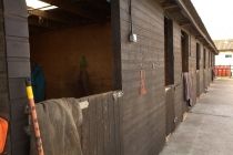 Livery 4