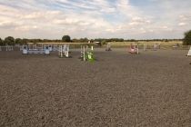Main Arena 5