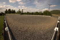 Private Arena 1