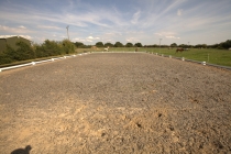 Private Arena 4