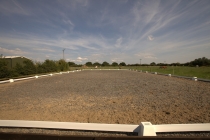 Private Arena 5